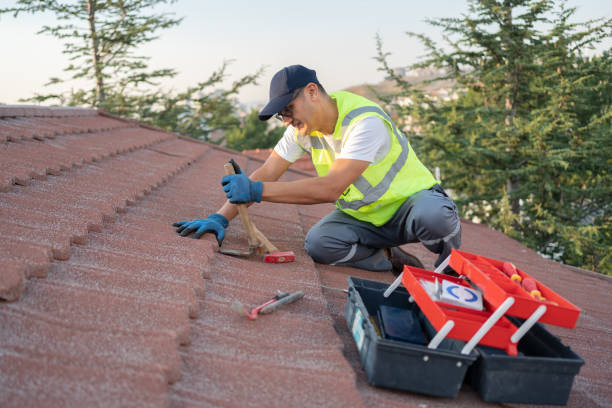 Professional Roofing Contractor in Seffner, FL