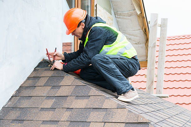 Best Storm Damage Roof Repair  in Seffner, FL